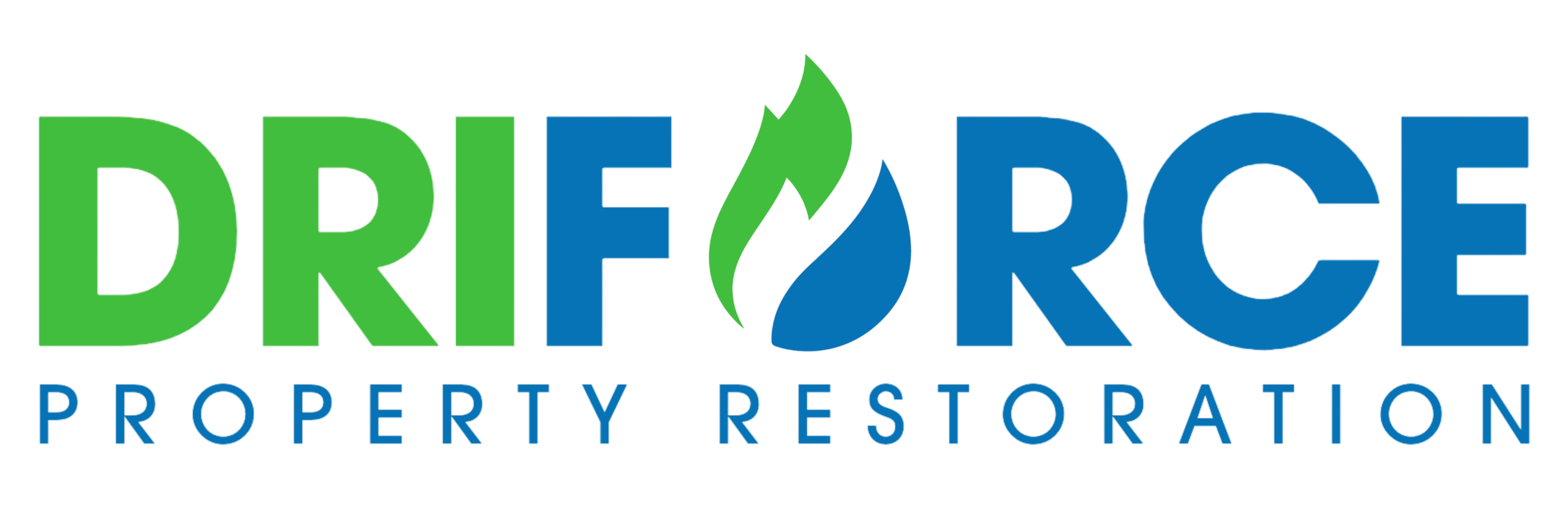 DriForce Property Restoration